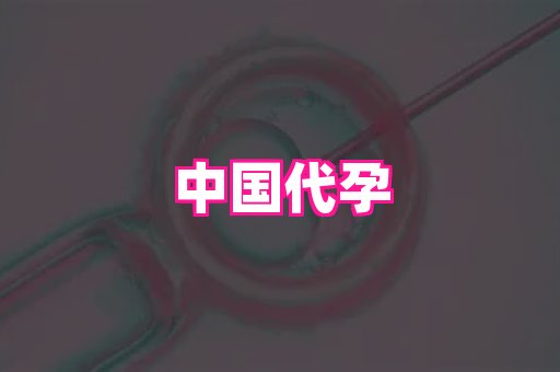 武汉助孕网 4